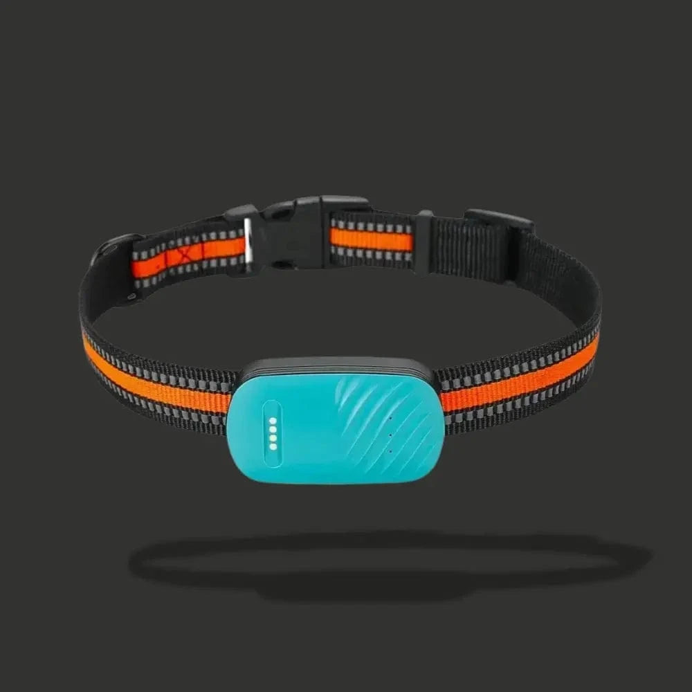 GPS Tracker Collar for Cats – Daily Location and Comfort