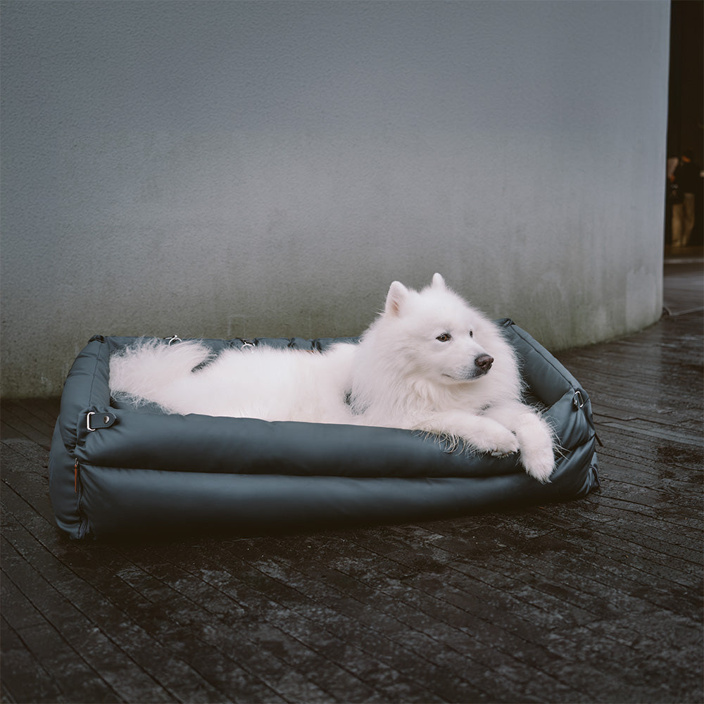 Autós Ülés Kutya Számára – Kényelem És Védelem