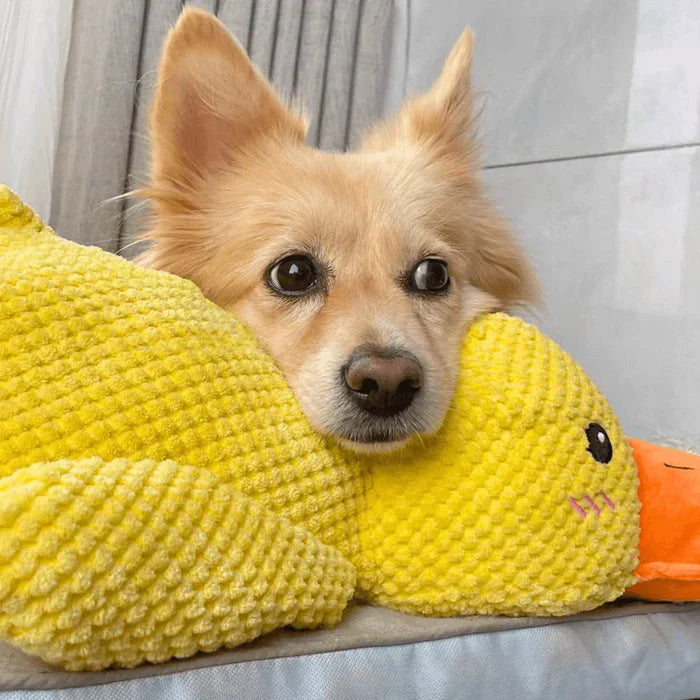 Jouet Canard Apaisant Pour Chien – Compagnon De Jeu Et De Détente