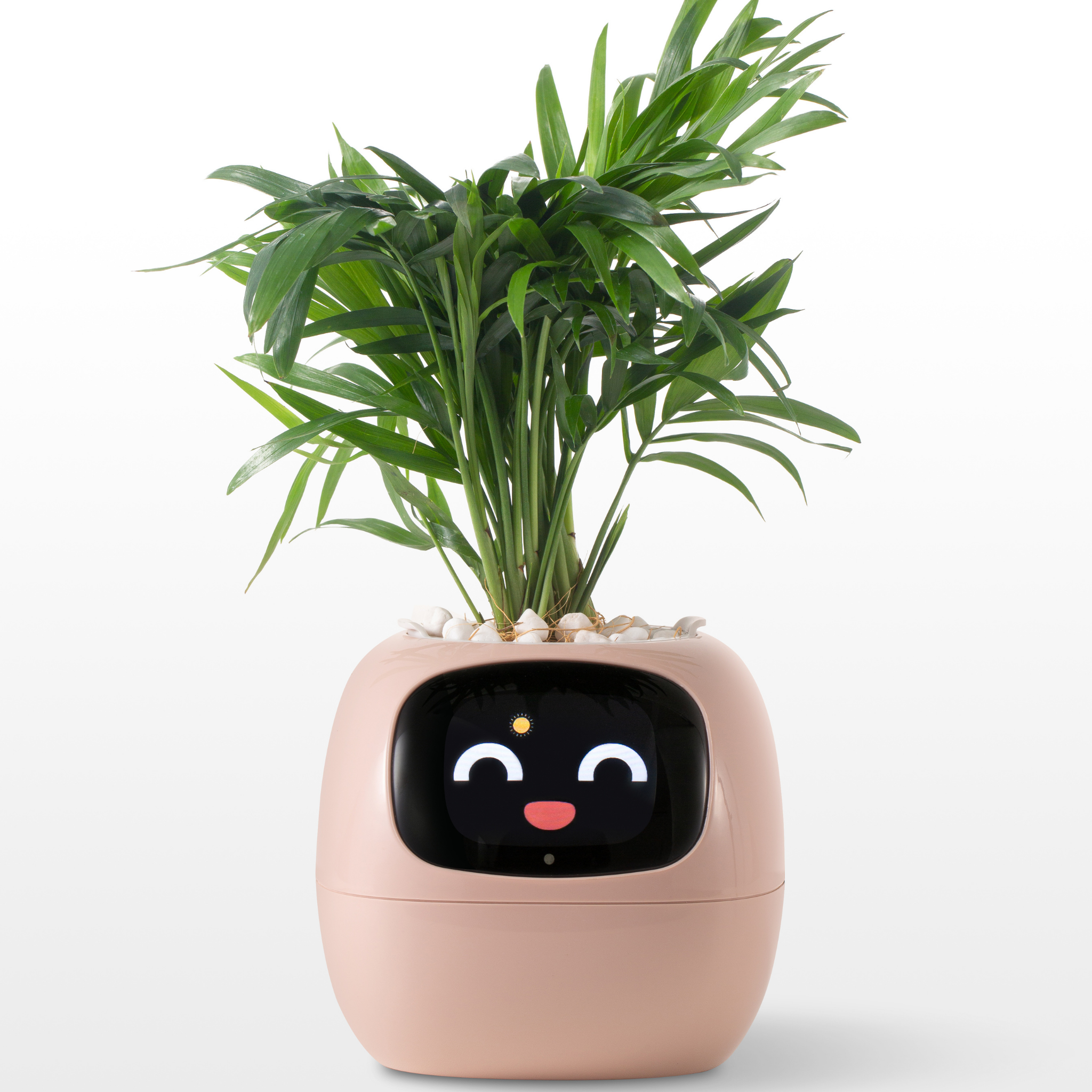 Emoji Vaso di Fiori – Decorazione Originale e Divertente