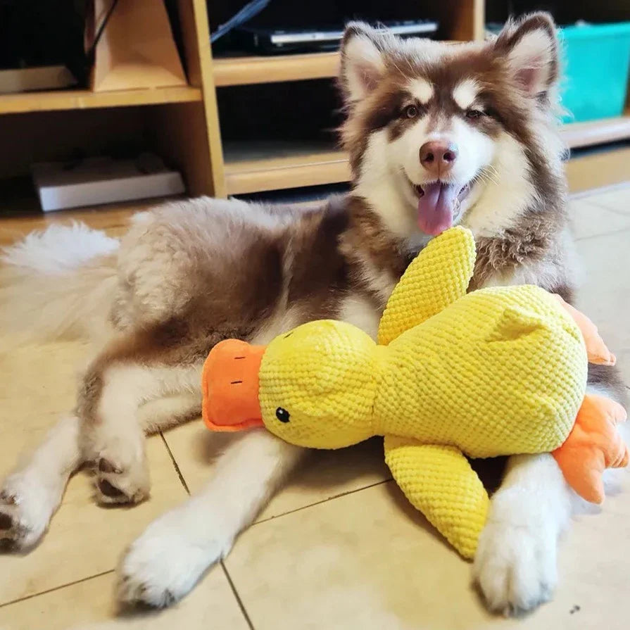 Jouet Canard Apaisant Pour Chien – Compagnon De Jeu Et De Détente