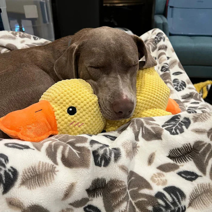 Jouet Canard Apaisant Pour Chien – Compagnon De Jeu Et De Détente