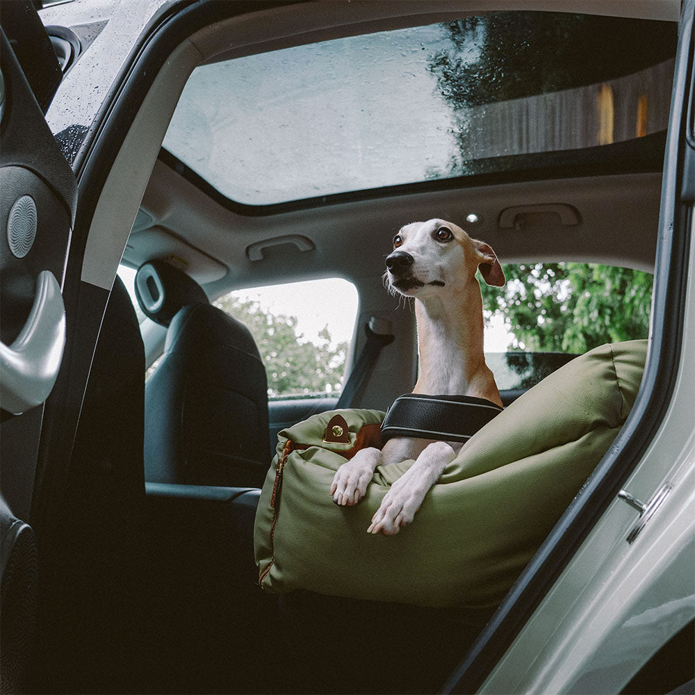 Autós Ülés Kutya Számára – Kényelem És Védelem