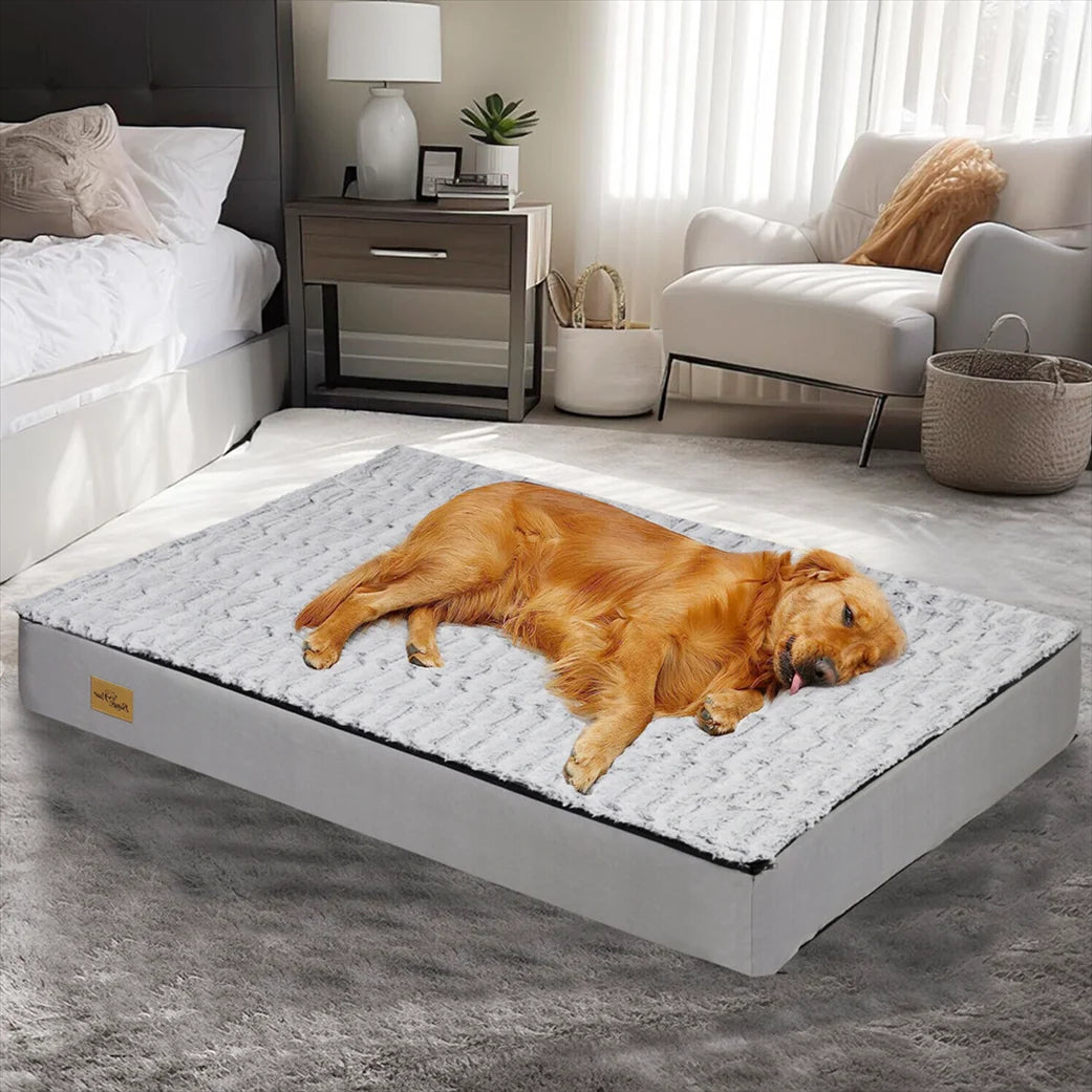 Hondenbed Comfort – Ideaal Voor Rust En Herstel