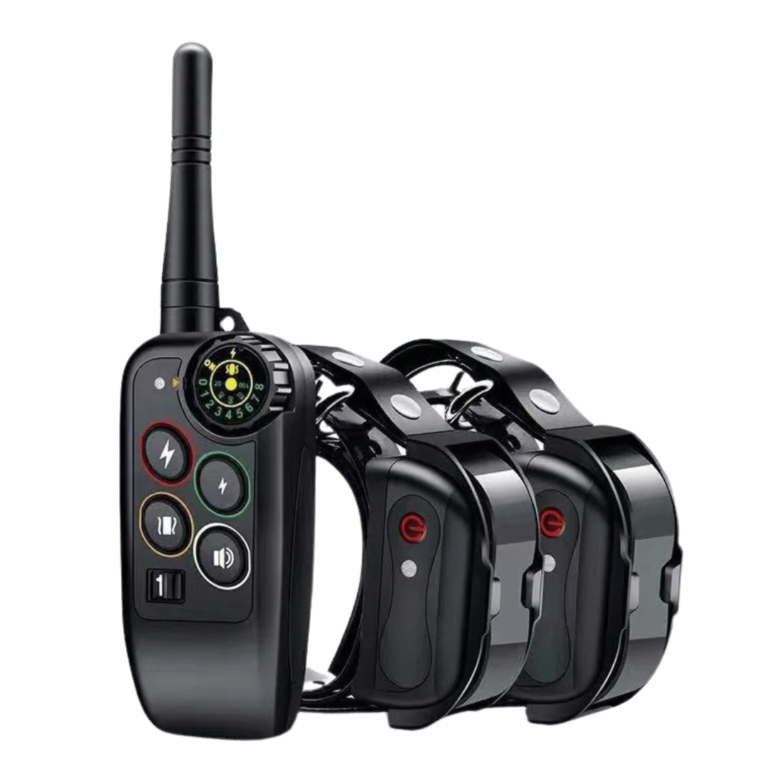 Colier de dresaj la distanță – precizie și rază optimă