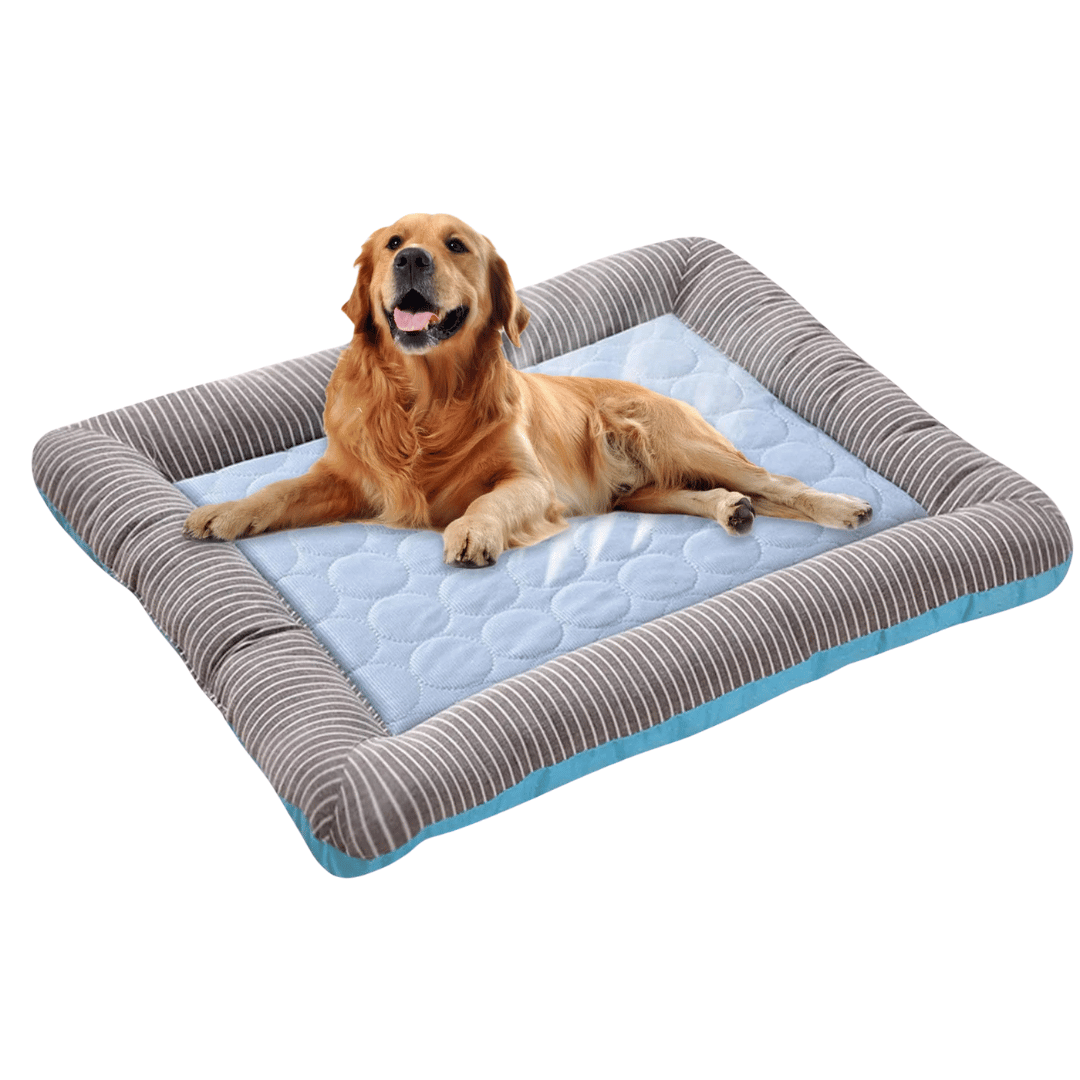 Kølemadras Til Hund – Friskhed Og Komfort Om Sommeren