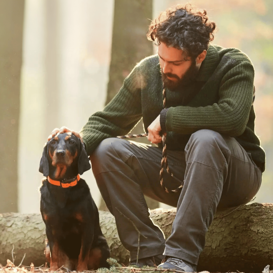 Colier de dresaj la distanță – precizie și rază optimă