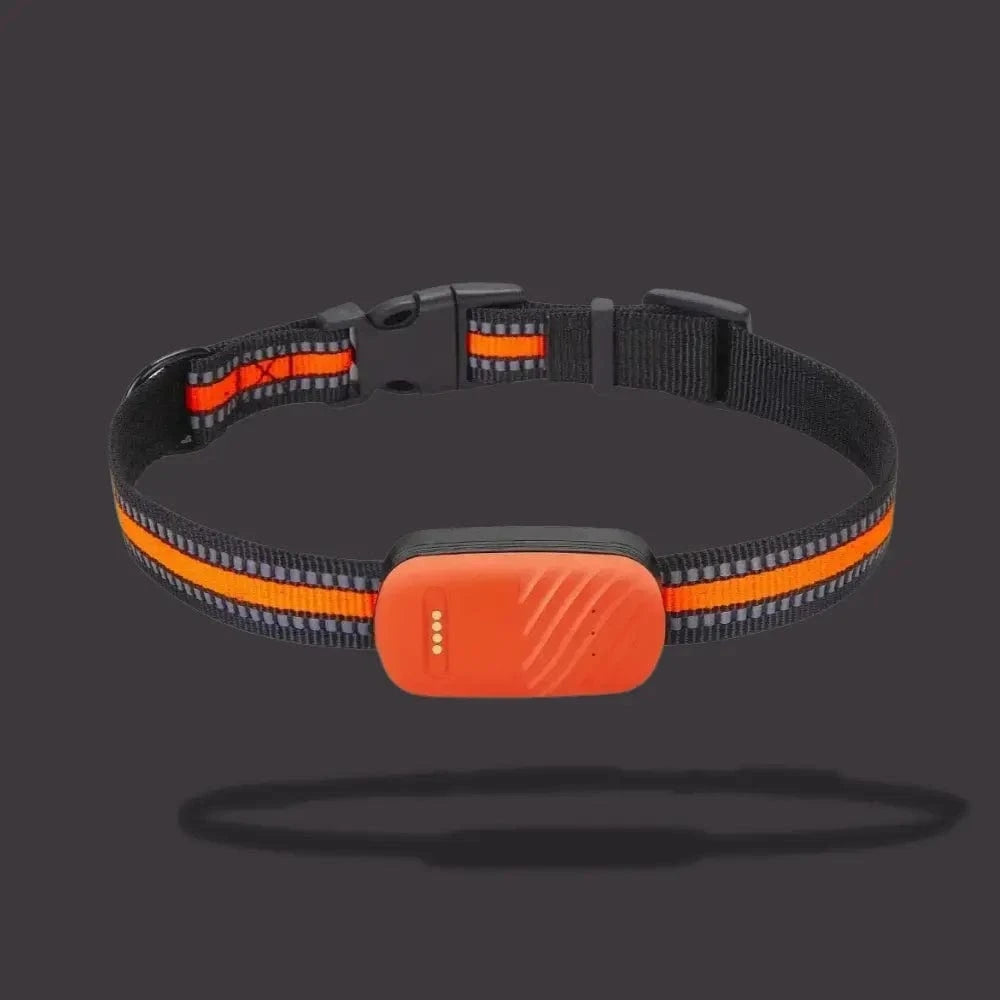 GPS Tracker Collar for Cats – Daily Location and Comfort