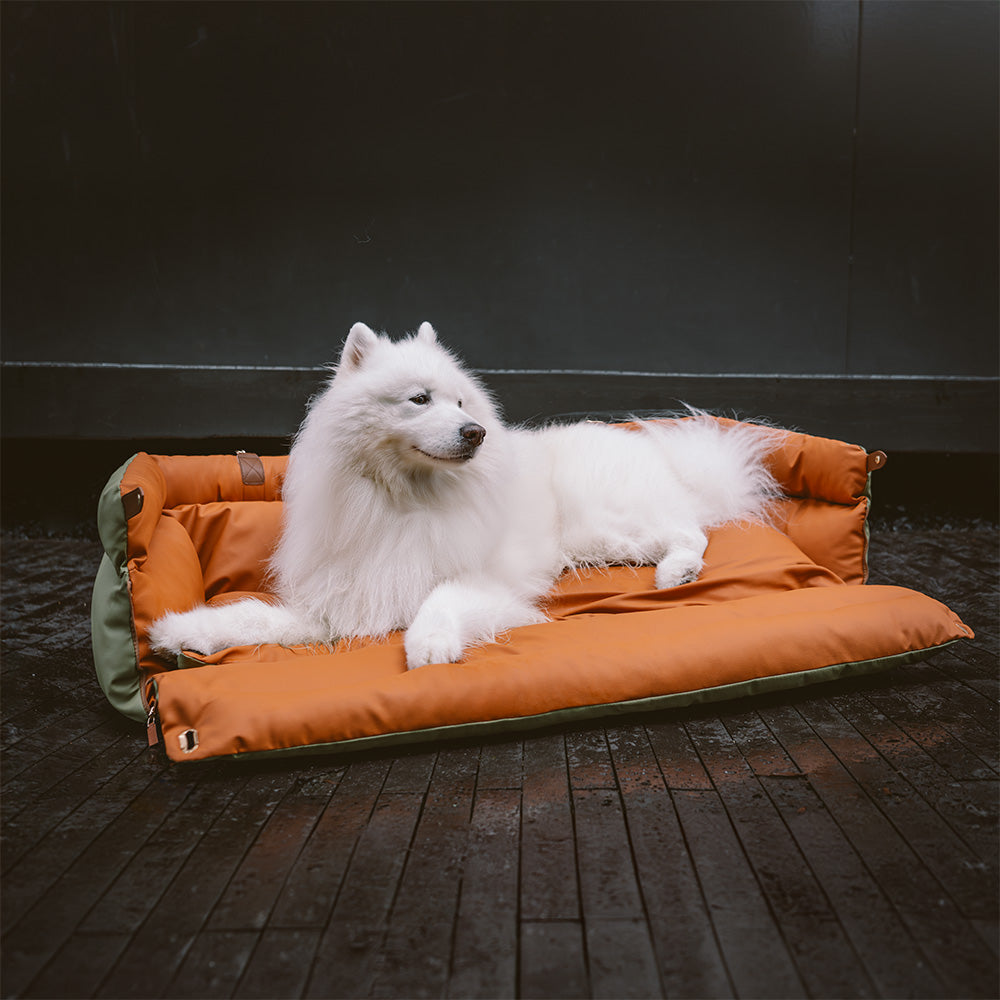 Autós Ülés Kutya Számára – Kényelem És Védelem