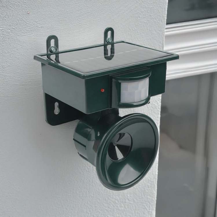 Elektronische Afschrikker Voor Tuin — Jaagt Vogels Weg En Beschermt Uw Ruimtes