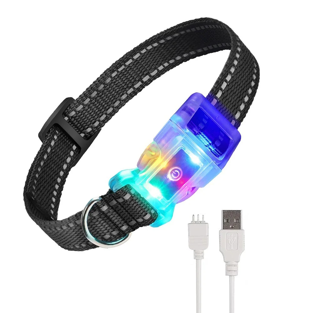 Dressurkragen ohne Schlag – Fernbedienung bis zu 1000 m