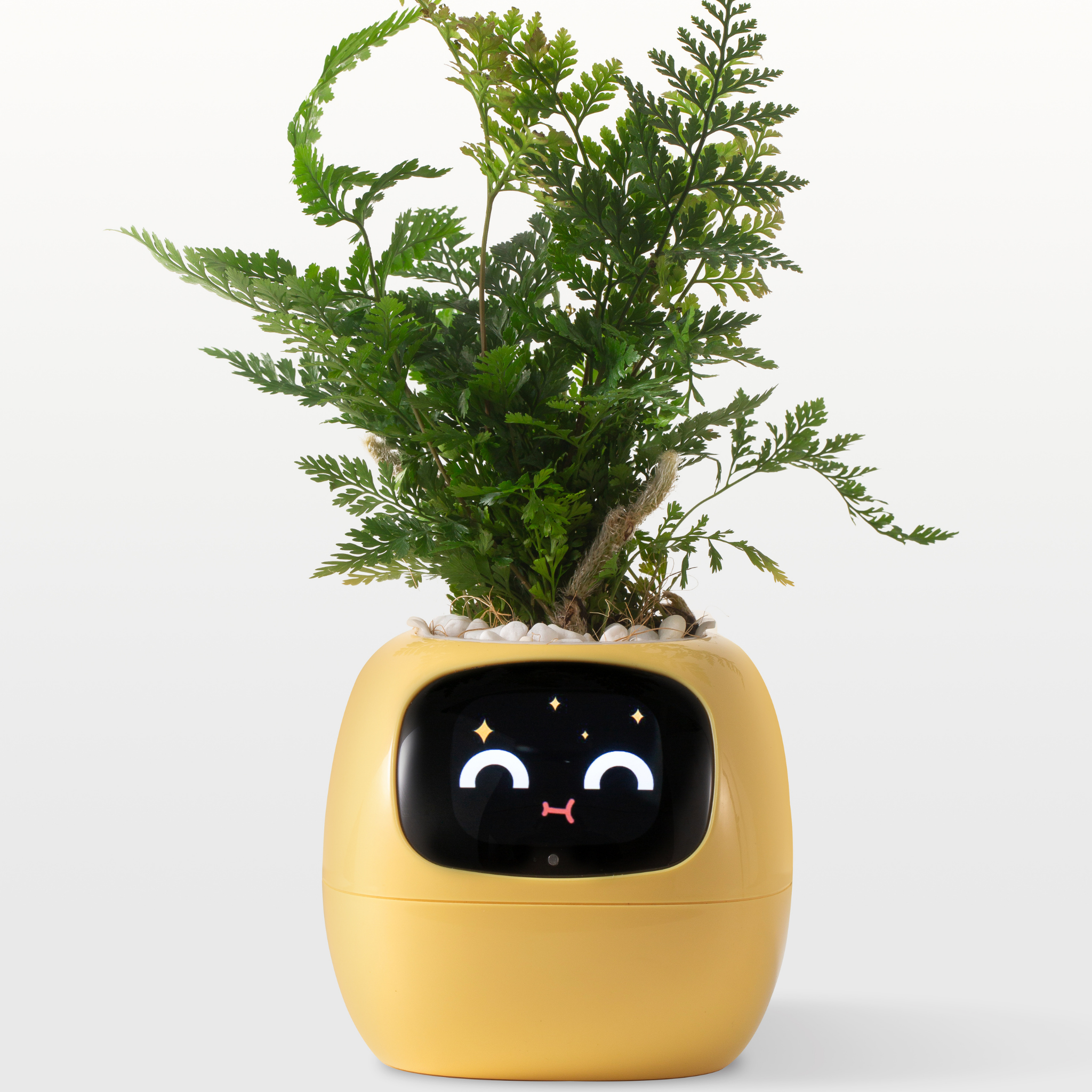 Emoji Vaso di Fiori – Decorazione Originale e Divertente