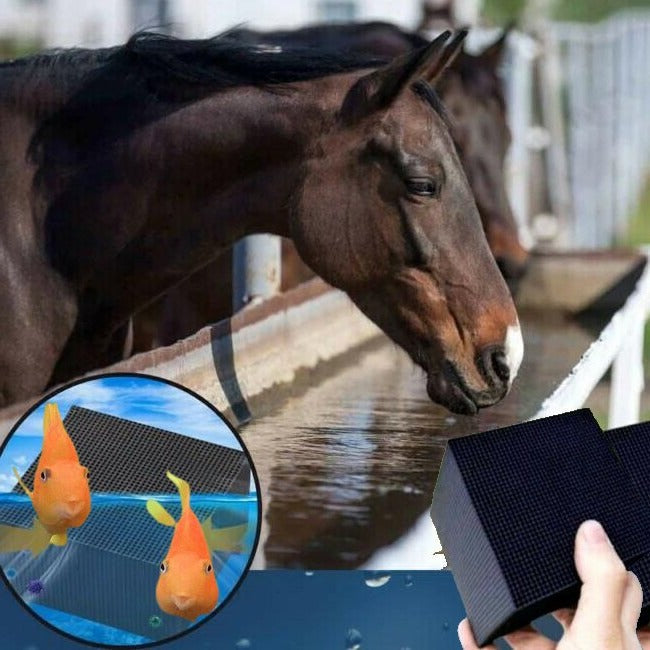 Kube Eläinten Vedenpuhdistaja – Kirkasta ja terveellistä vettä päivittäin