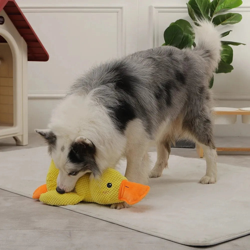 Jouet Canard Apaisant Pour Chien – Compagnon De Jeu Et De Détente