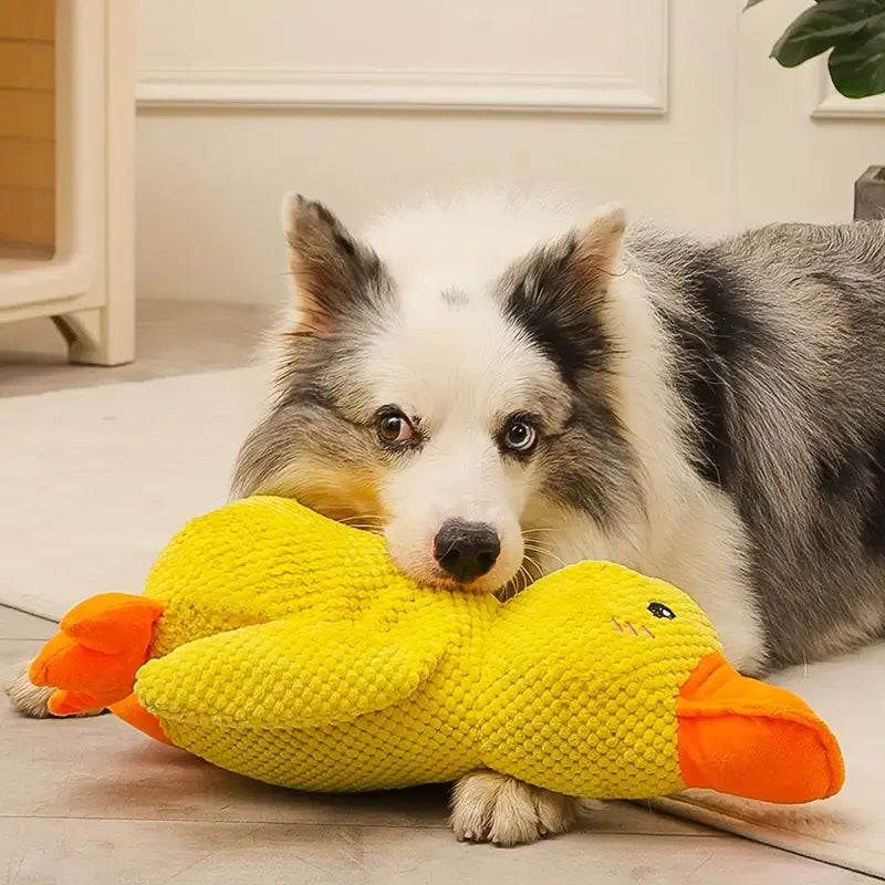 Jouet Canard Apaisant Pour Chien – Compagnon De Jeu Et De Détente