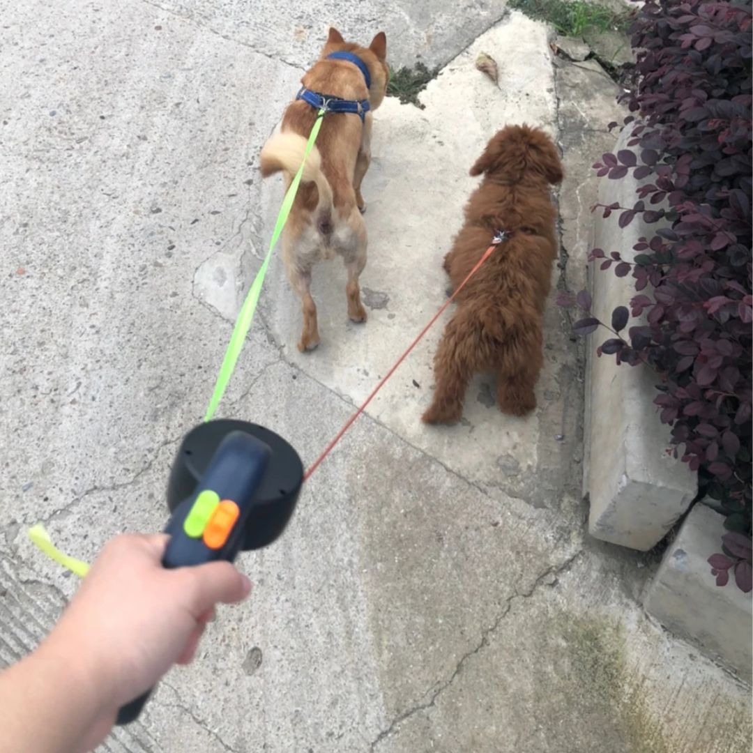 Laus Dobbel Utrekkbar For Hunder – Med LED-lampe Og Posefordeler 