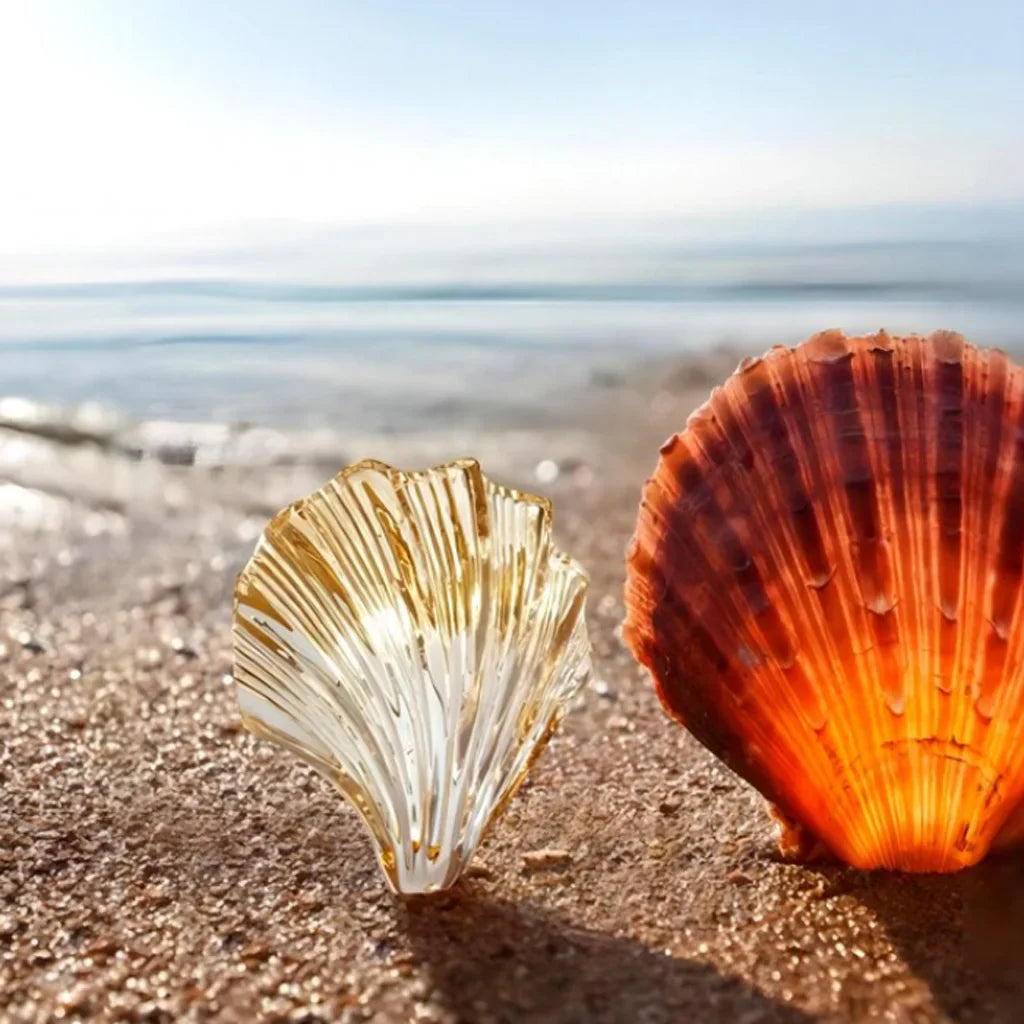 Wandlamp Schelp – Elegante En Maritieme Verlichting 