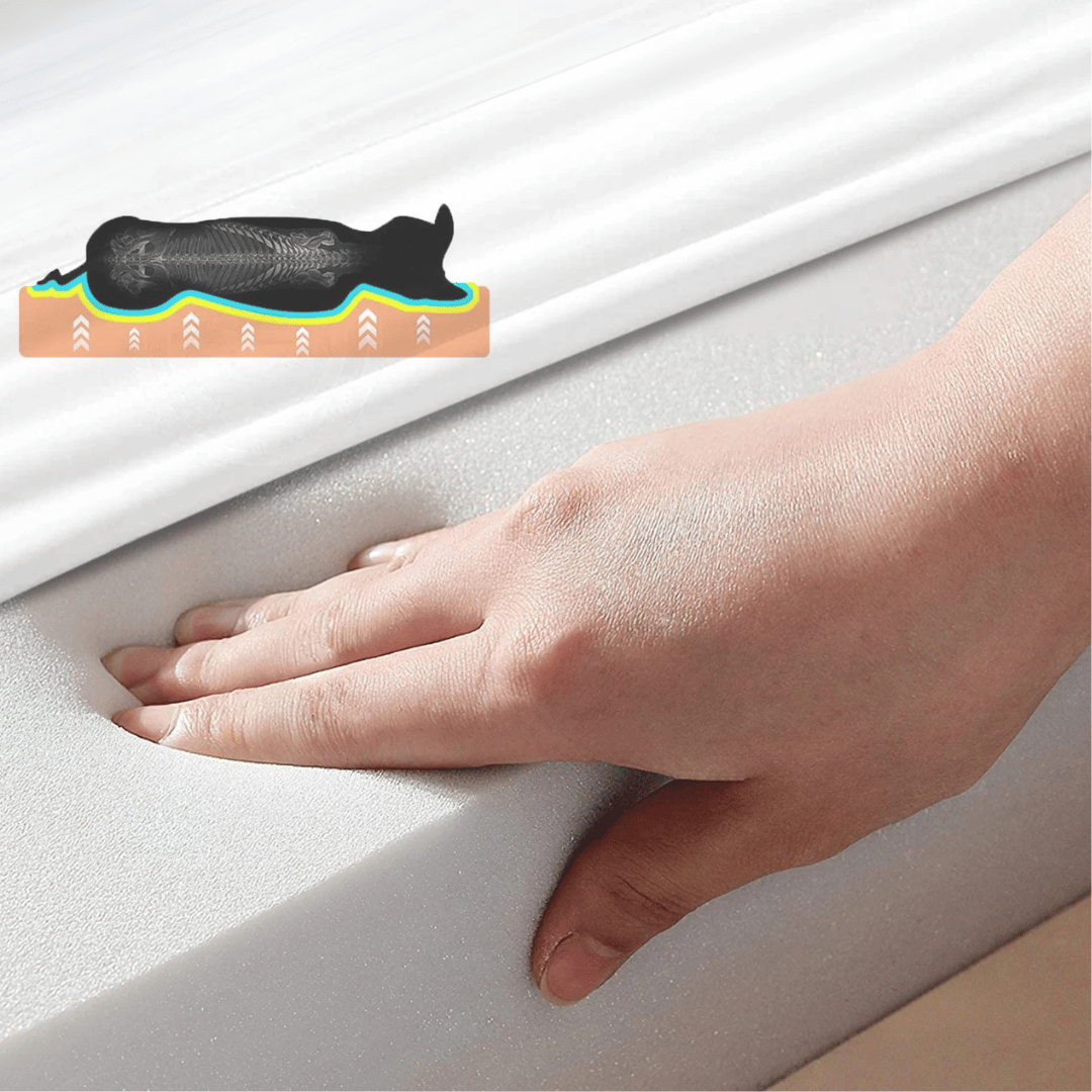 Hondenbed Comfort – Ideaal Voor Rust En Herstel 