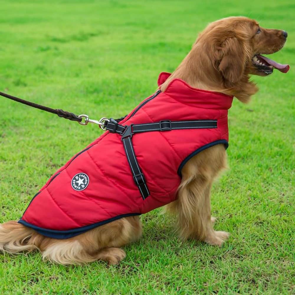 Parka Impermeable Para Perros - Protección y Estilo 