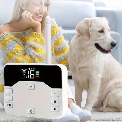 Vezeték nélküli kerítés kiképző nyakörvvel – Biztonság és nevelés kutyáknak 