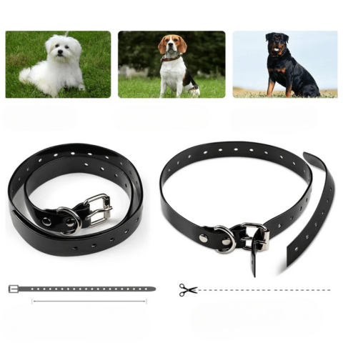 Fjernstyrt Dressurkrage – Bærer 800 m, Vanntett og Oppladbar 