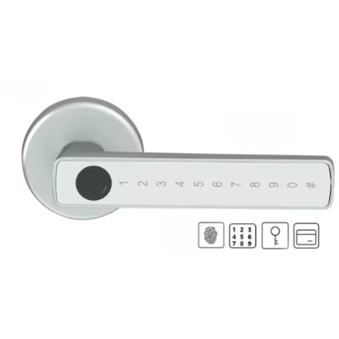 Multifunktionale biometrische Schlösser – Fortschrittliche Sicherheit und schneller Zugang 