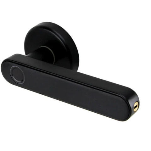 Multifunktionale biometrische Schlösser – Fortschrittliche Sicherheit und schneller Zugang 