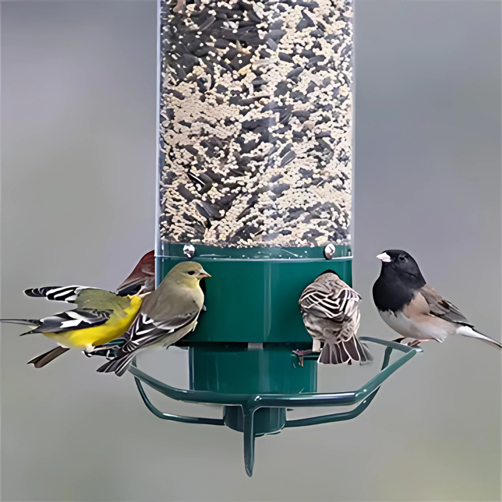Mangiatore per Uccelli Appeso – Protezione Anti-Scoiattolo e Facile Ricarica 