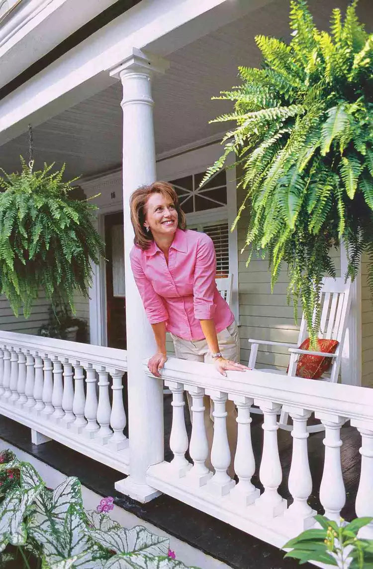 سرخس زخرفي صناعي - مظهر واقعي ومدة طويلة 