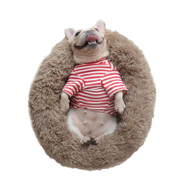 Cama Acogedora Para Animales — Confort Óptimo Y Descanso Apacible 