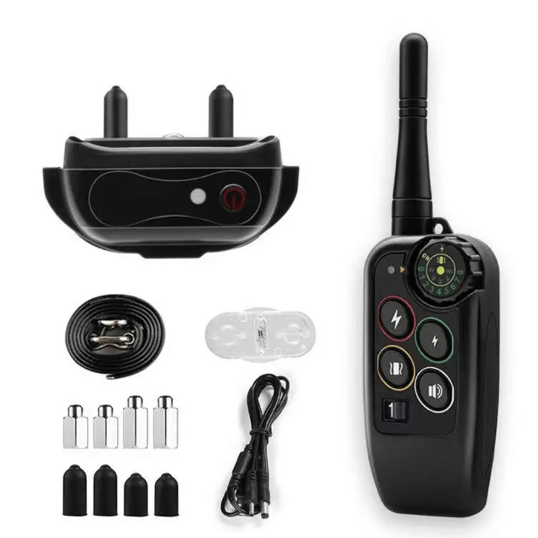 Colier de dresaj la distanță – precizie și rază optimă 