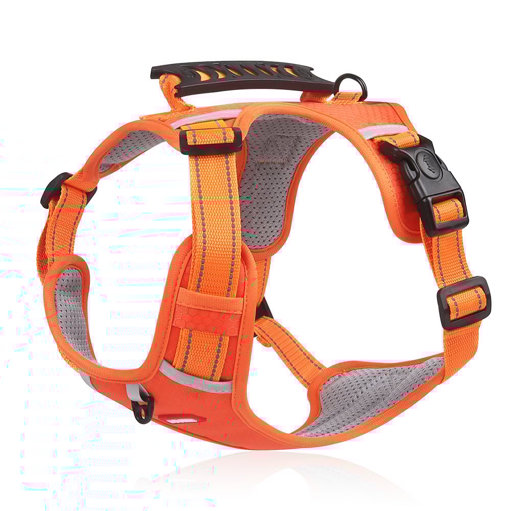 Reflective Dog Harness - Comfort and Safety 